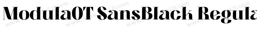 ModulaOT SansBlack Regular Version字体转换